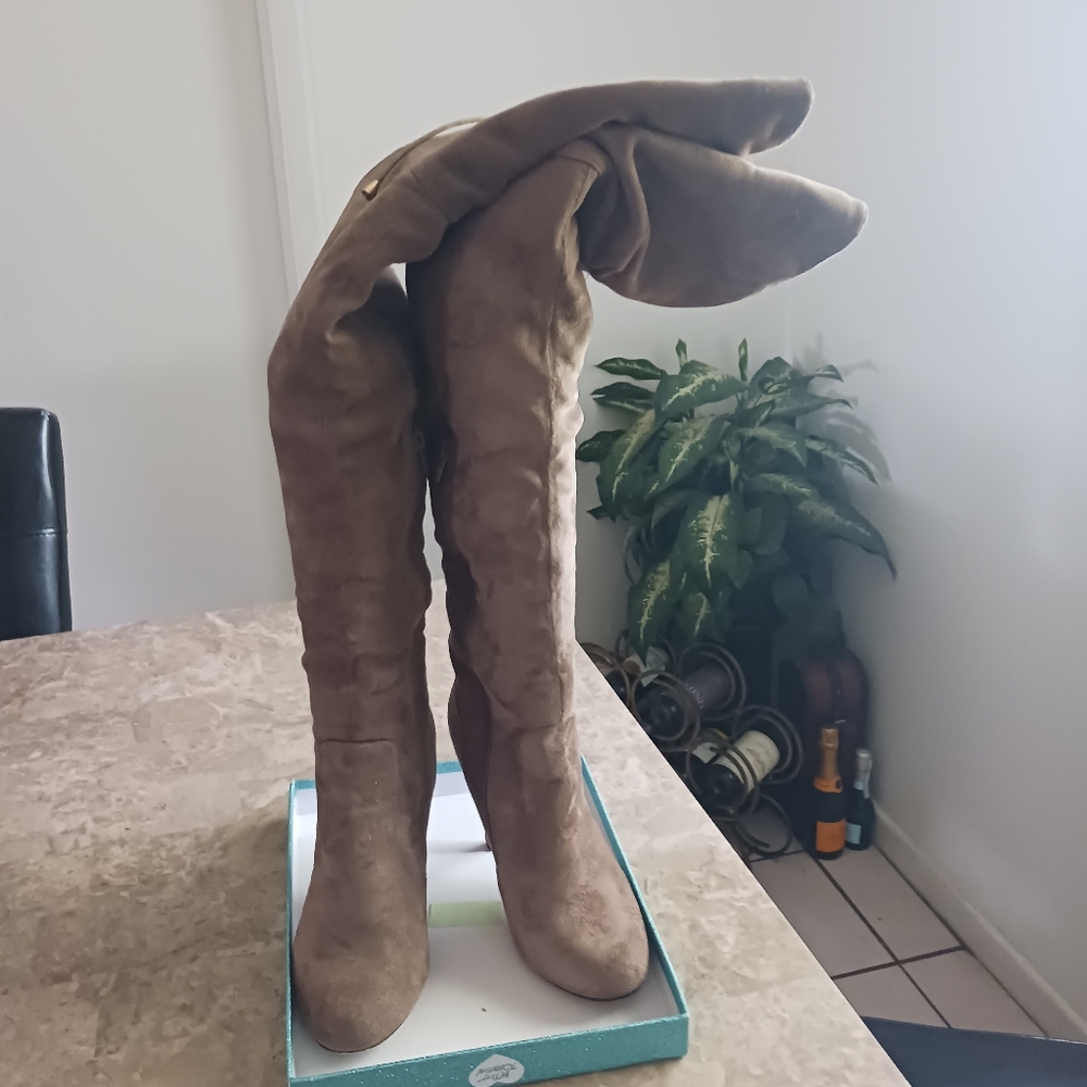 Thigh High Boots